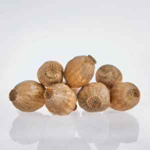 Dried Poppy Pods Grade B